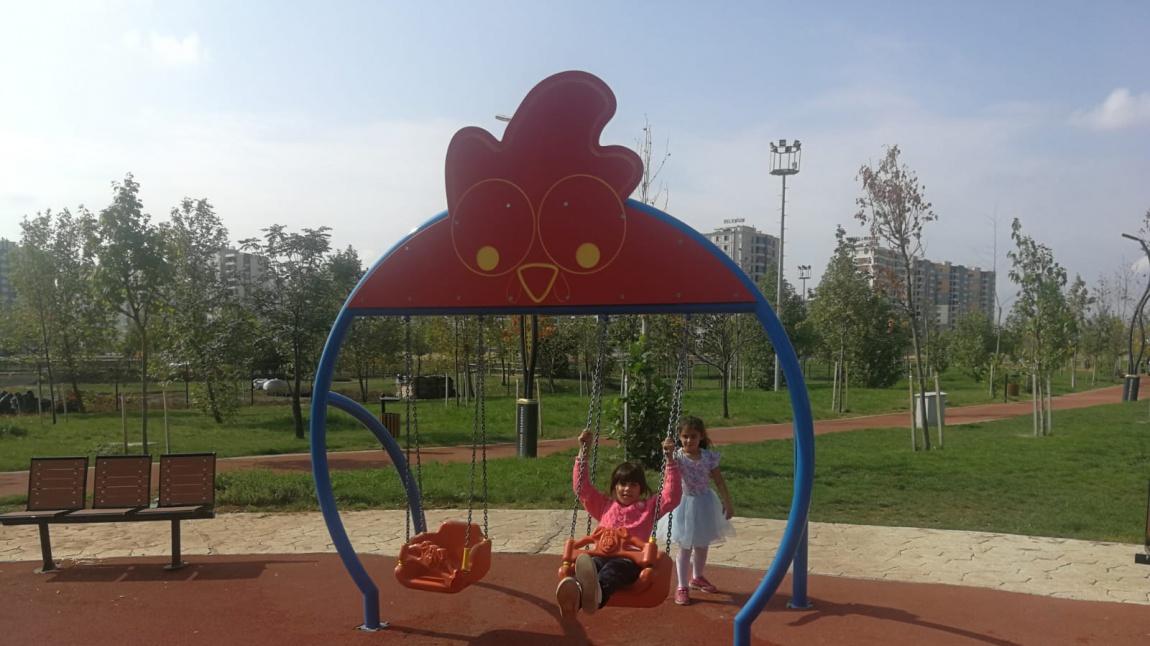 Park Gezisi